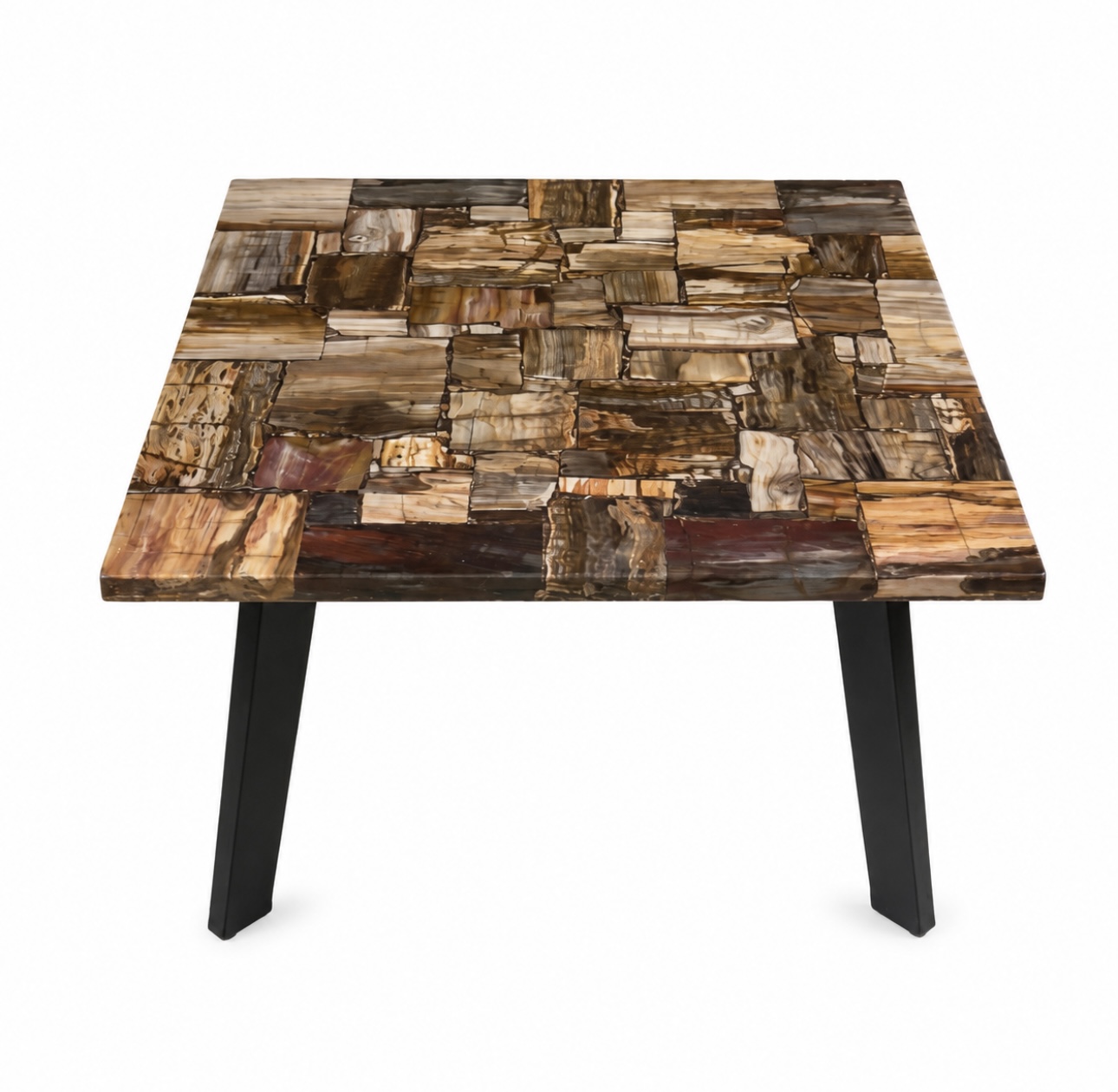 Petrified wood table
